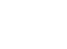 ACGink